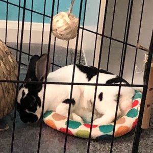 Meet your Posher, Cali